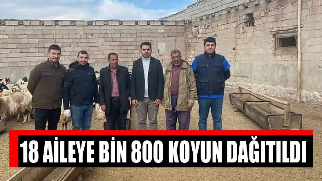 18 aileye bin 800 koyun dağıtıldı