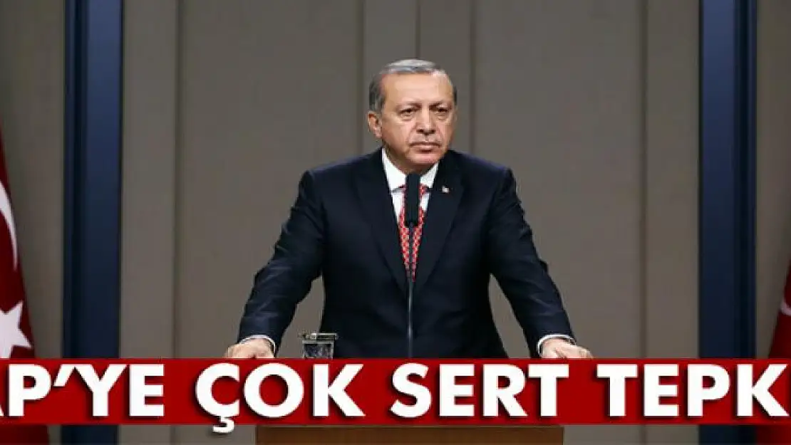 Cumhurbaşkanı Erdoğan'dan Avrupa Parlamentosu'na sert tepki