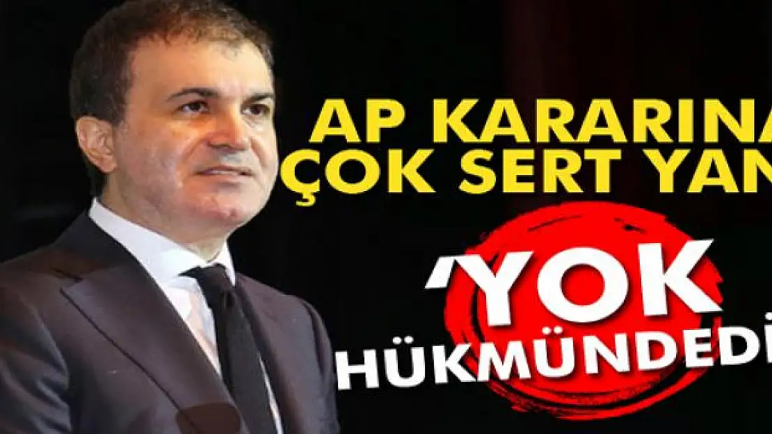 Ömer Çelik: AP'nin bu kararı yok hükmünde