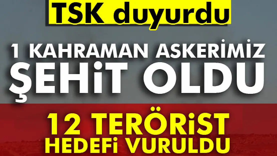 1 kahraman askerimiz şehit oldu, 12 terörist hedefi vuruldu