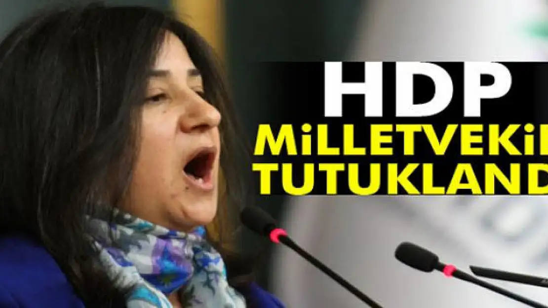 HDP Milletvekili Demirel tutuklandı