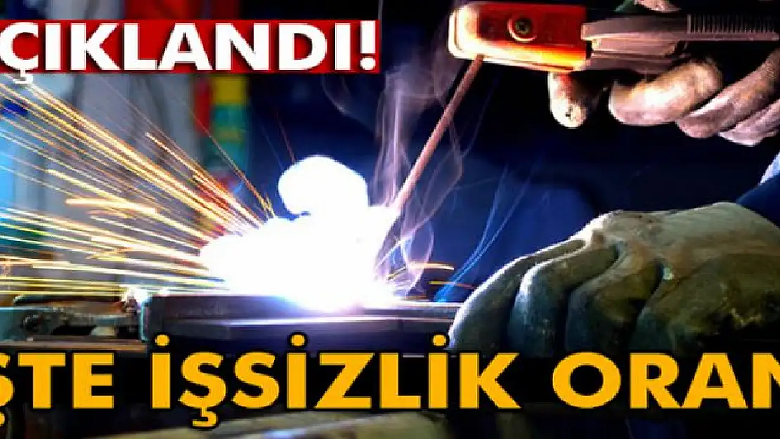 İşsizlik oranı Eylül'de 1 puan artarak yüzde 11,3 oldu