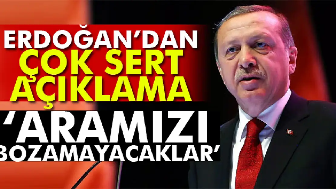 Cumhurbaşkanı Erdoğan: 'Rusya ile ilişkilerimizin bozulmasına asla izin vermeyeceğiz'