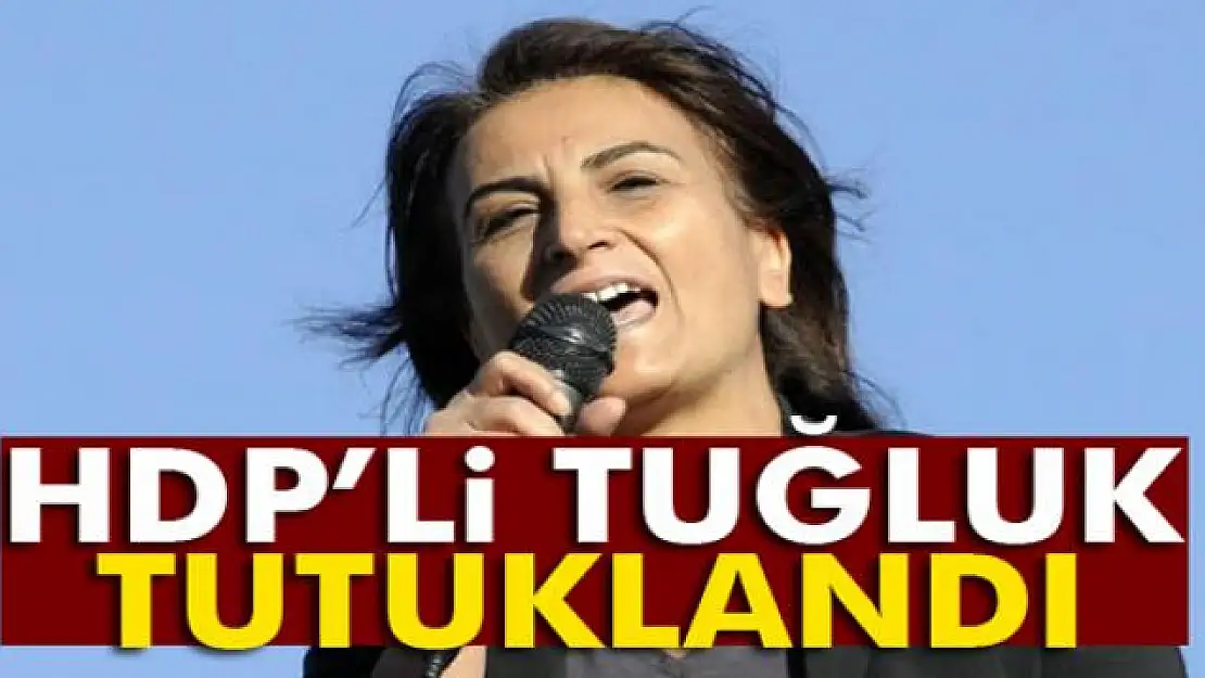 HDP'li Aysel Tuğluk tutuklandı