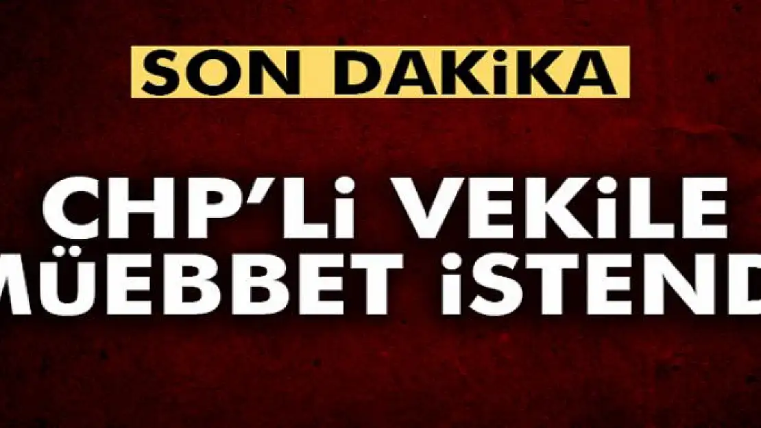 Son dakika! MİT TIR'ları davasında CHP'li vekilin müebbet hapsi istendi