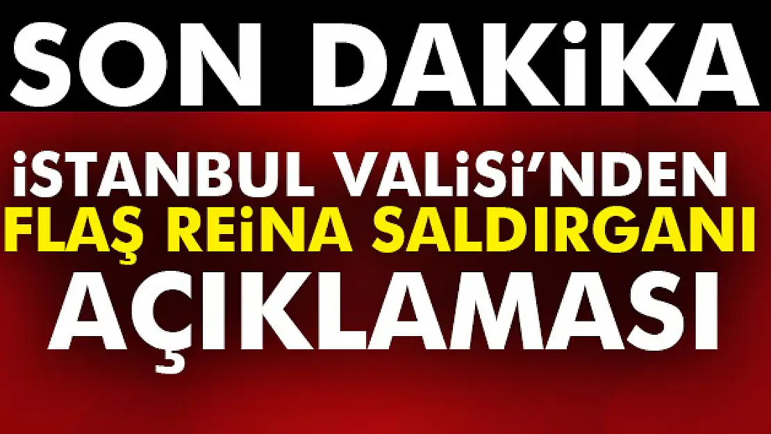 İstanbul Valisi'nden flaş Reina saldırganı açıklaması