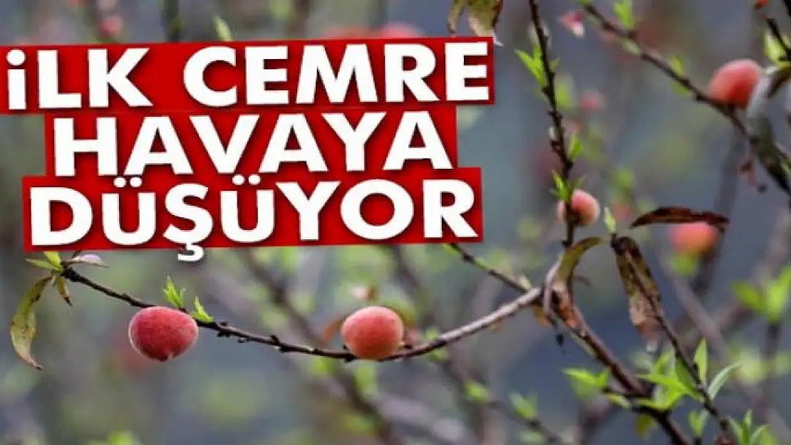 İlk cemre havaya düşüyor! Cemre nedir?