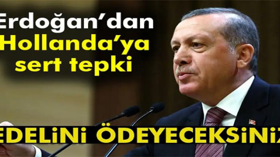 Cumhurbaşkanı Erdoğan'dan önemli Hollanda açıklaması