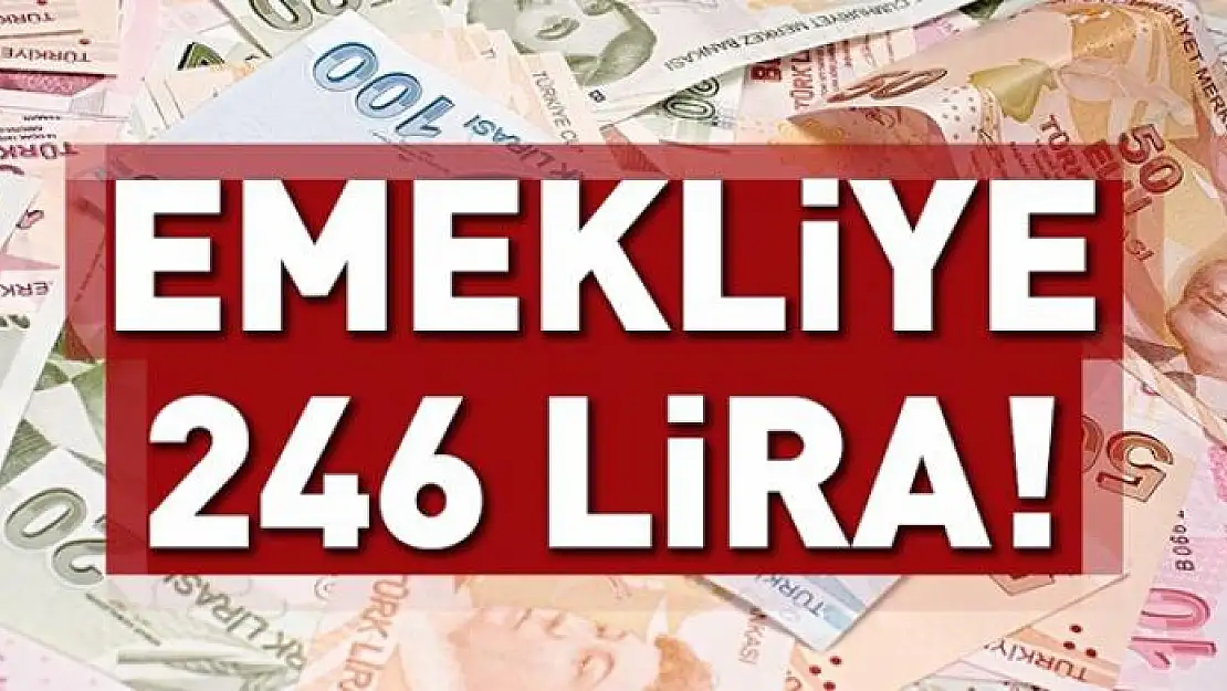 Emekliye 246 TL 