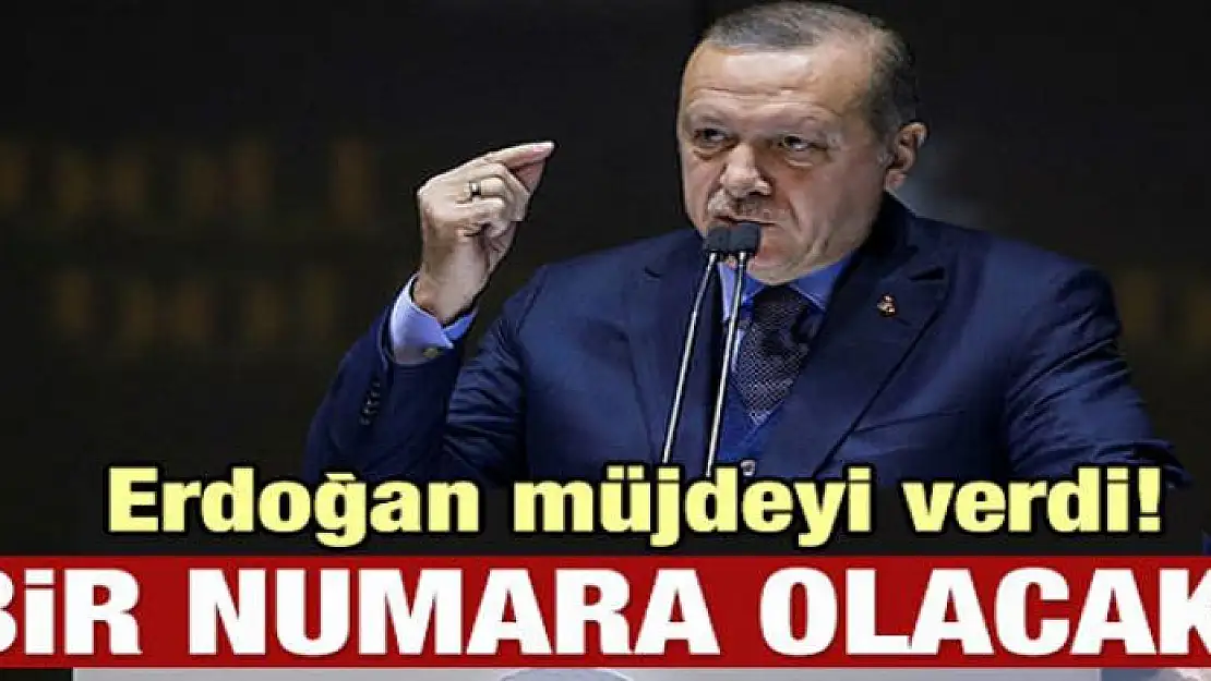 Cumhurbaşkanı Erdoğan: Bir numara olacak!