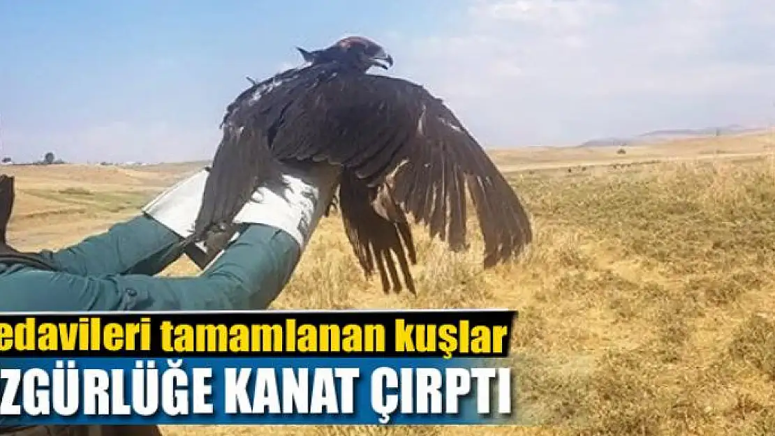 Tedavileri tamamlanan kuşlar özgürlüğe kanat çırptı