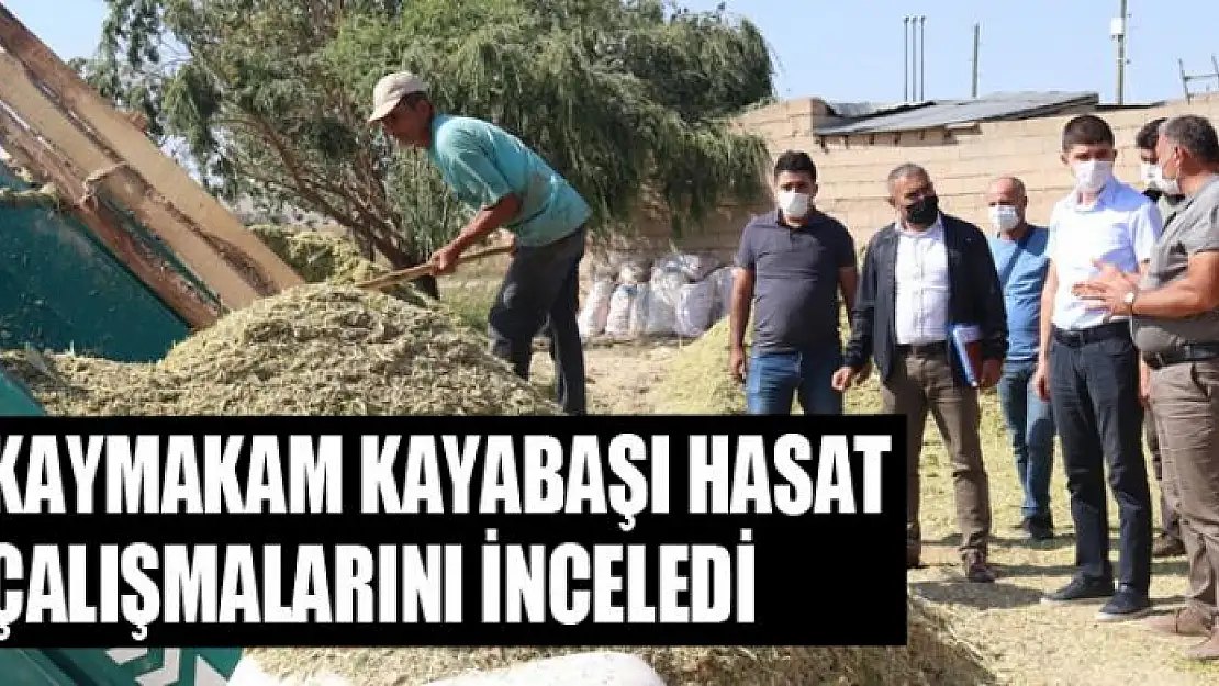 Kaymakam Kayabaşı hasat çalışmalarını inceledi