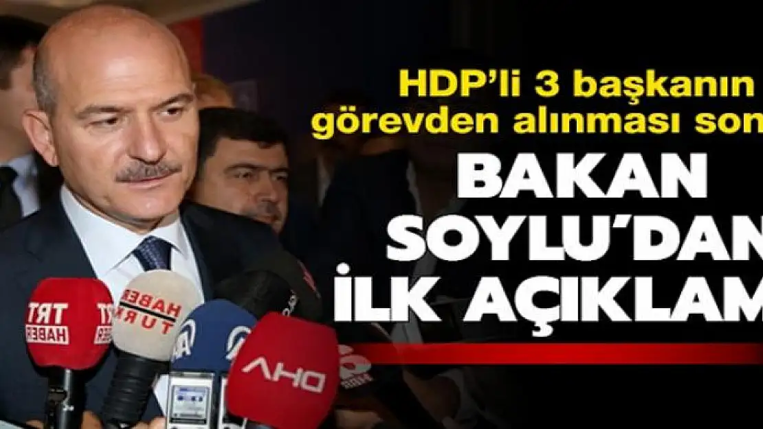 HDP'li 3 başkanın görevden alınması sonrası Bakan Soylu'dan ilk açıklama