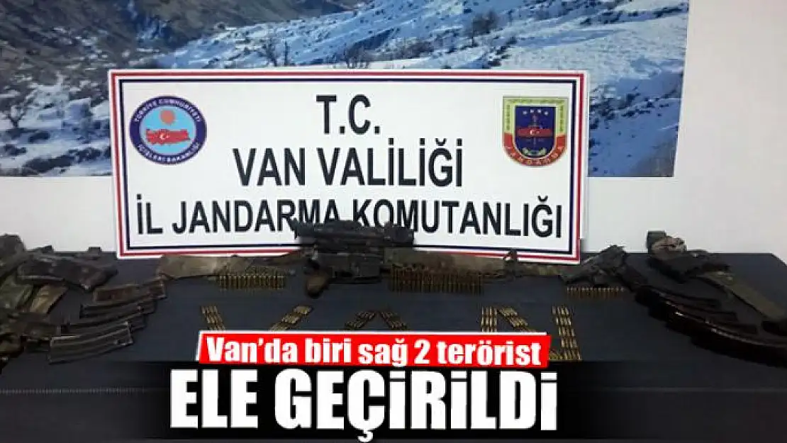 Van'da biri sağ 2 terörist ele geçirildi