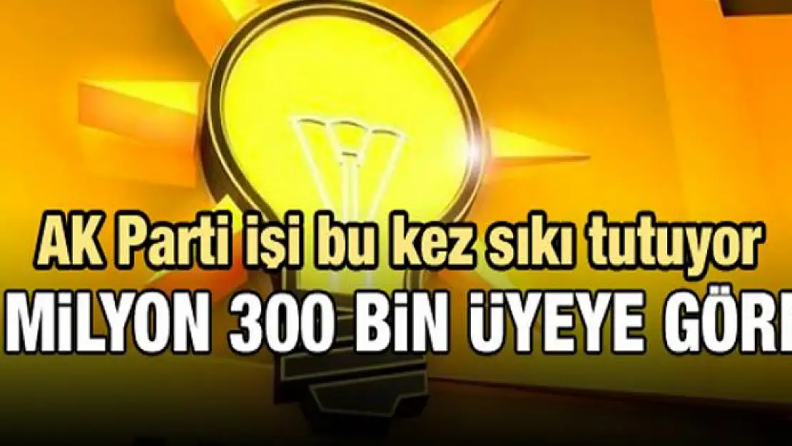 AK Parti'den 2 milyon 300 bin üyeye görev