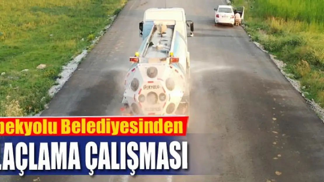 İpekyolu Belediyesinden ilaçlama çalışması