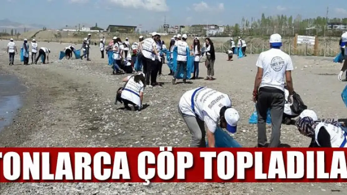 TONLARCA ÇÖP TOPLADILAR