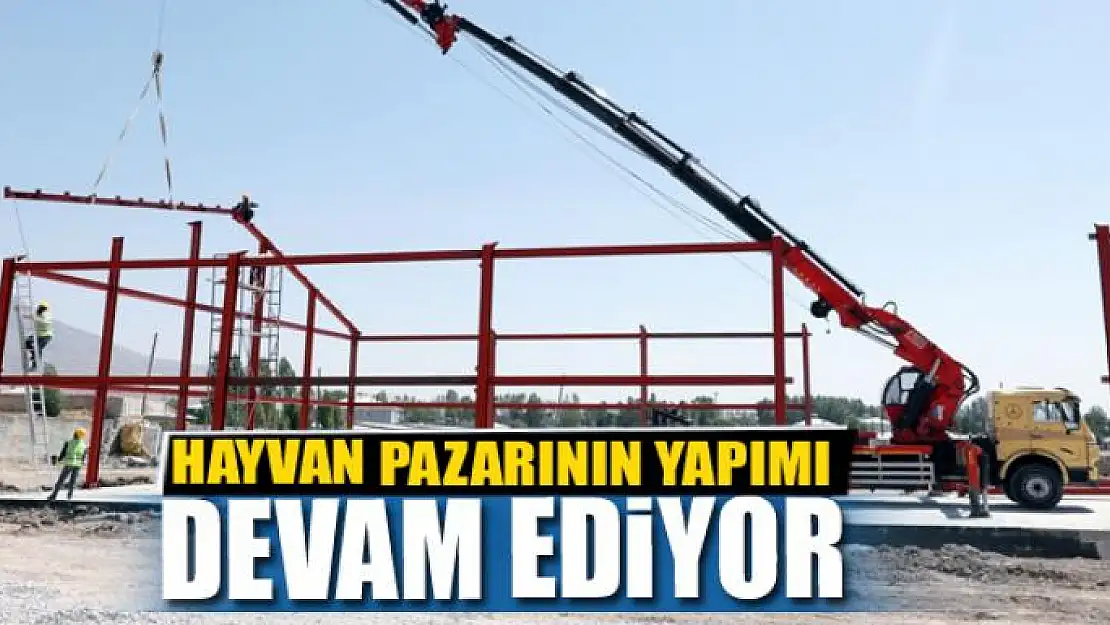 HAYVAN PAZARININ YAPIMI DEVAM EDİYOR