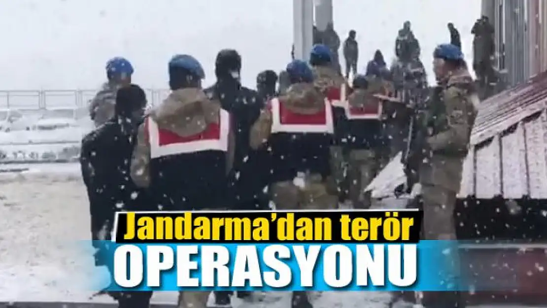 Jandarma'dan terör operasyonu