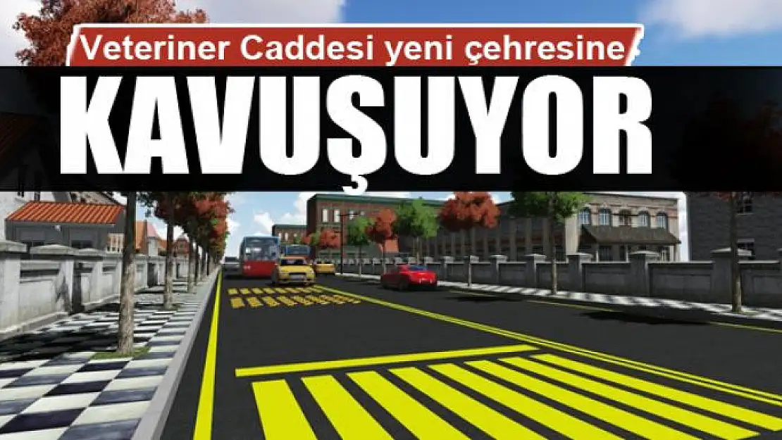 Veteriner Caddesi yeni çehresine kavuşuyor