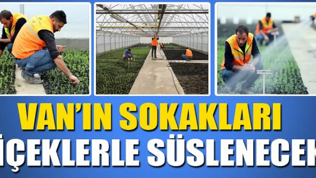 VAN'IN SOKAKLARI ÇİÇEKLERLE SÜSLENECEK
