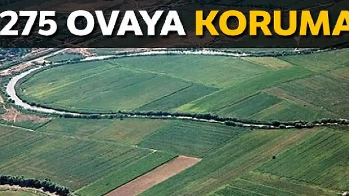 275 ovaya koruma