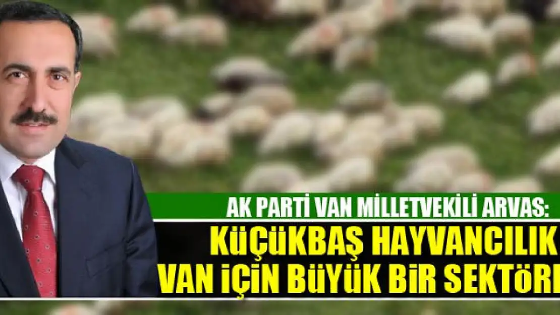 Milletvekili Arvas: Küçükbaş hayvancılık Van için büyük bir sektördür