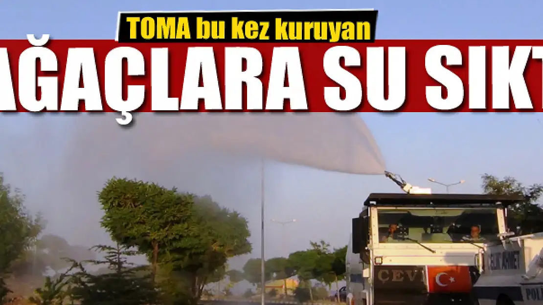 TOMA bu kez kuruyan ağaçlara su sıktı