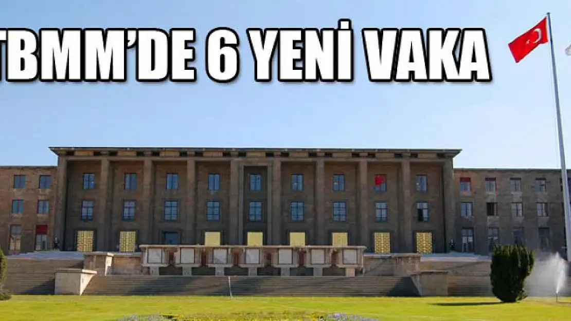 TBMM'de 6 yeni vaka