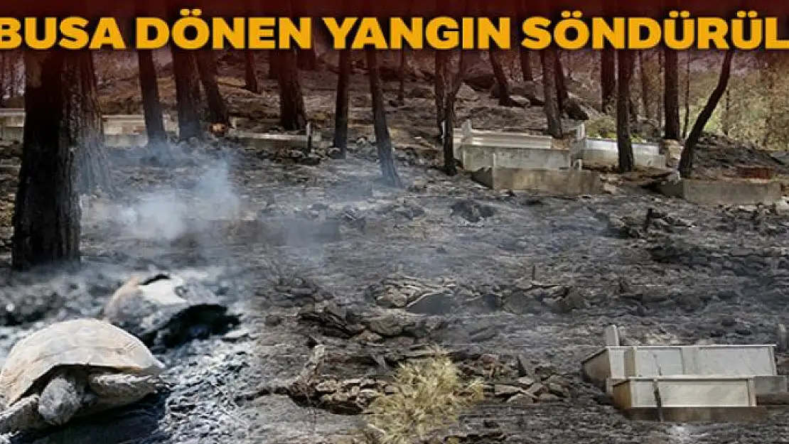 Kabusa dönen yangın söndürüldü