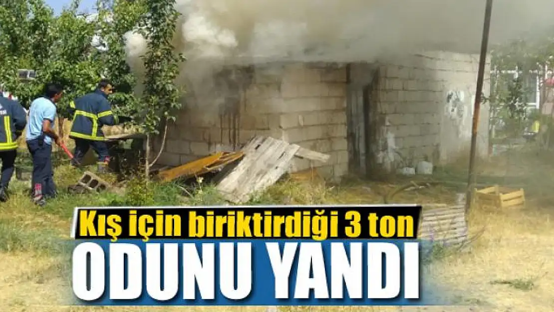 Kış için biriktirdiği 3 ton odunu yandı