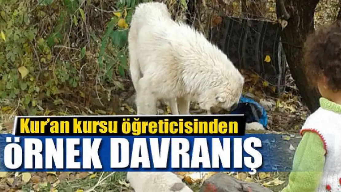 Kur'an kursu öğreticisinden örnek davranış