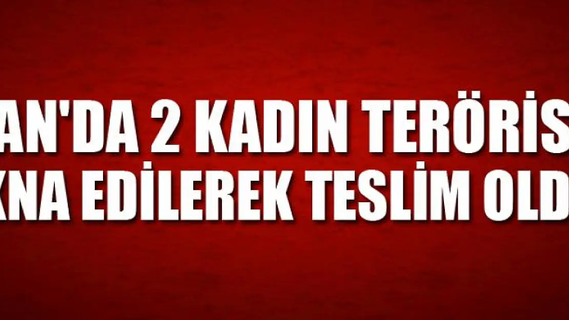 Van'da 2 kadın terörist ikna edilerek teslim oldu