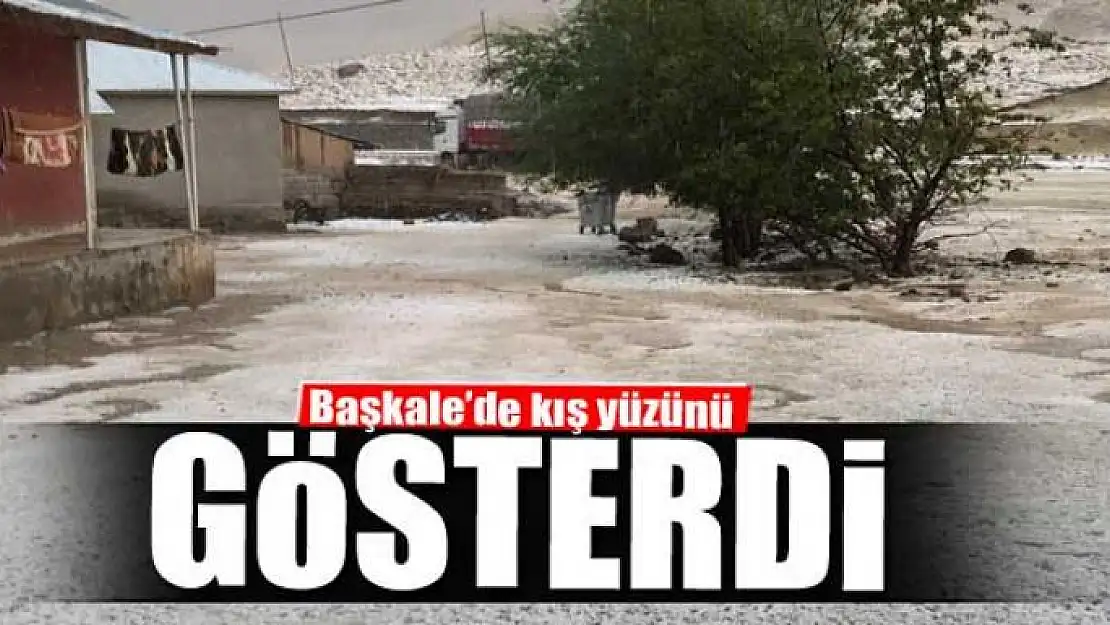 Başkale'de kış yüzünü gösterdi 