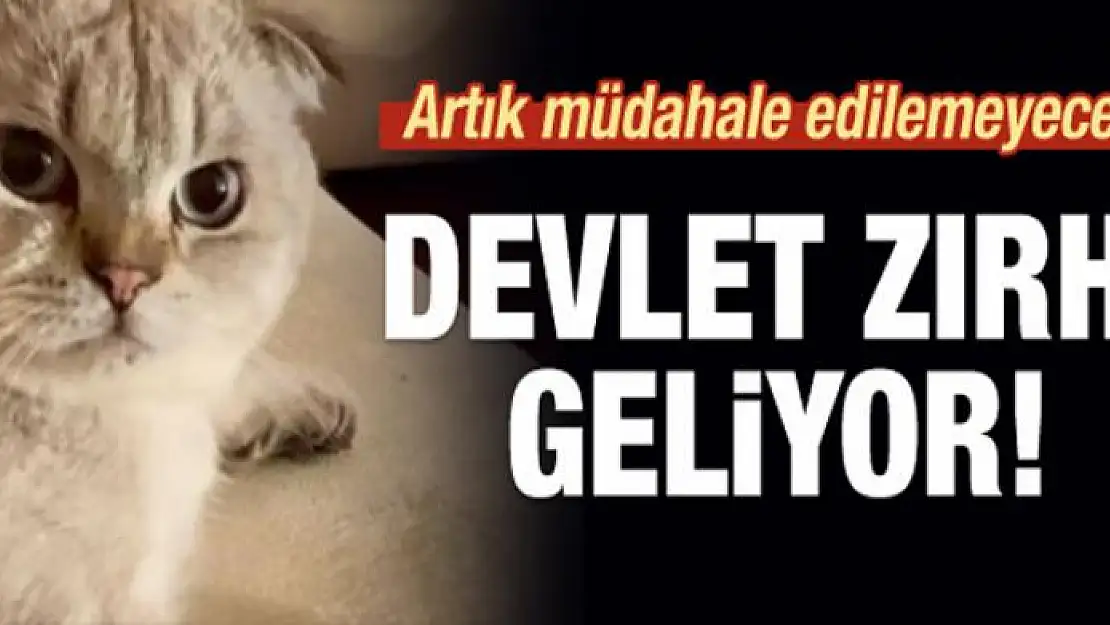 Devlet zırhı geliyor! Artık müdahale edilemeyecek