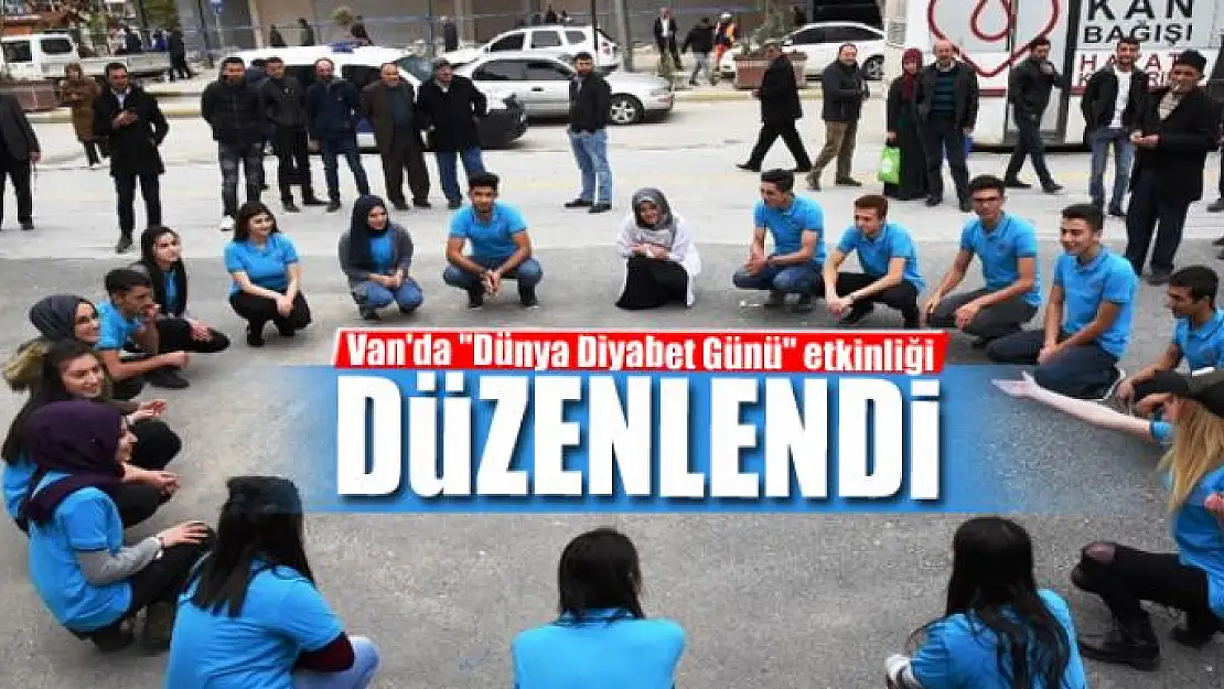 Van'da 'Dünya Diyabet Günü' etkinliği 