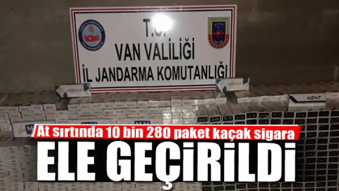 Sınır hattında at sırtında 10 bin 280 paket kaçak sigara ele geçirildi 