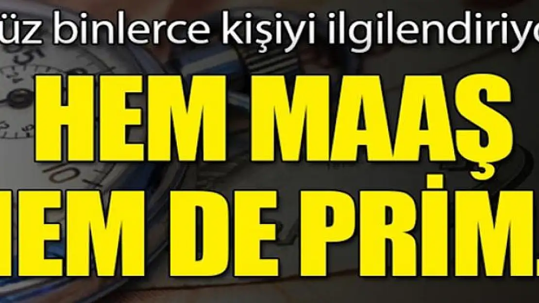 Teşvikler netleşti! Hem maaş hem de prim...