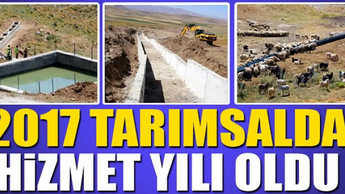 2017 TARIMSALDA HİZMET YILI OLDU