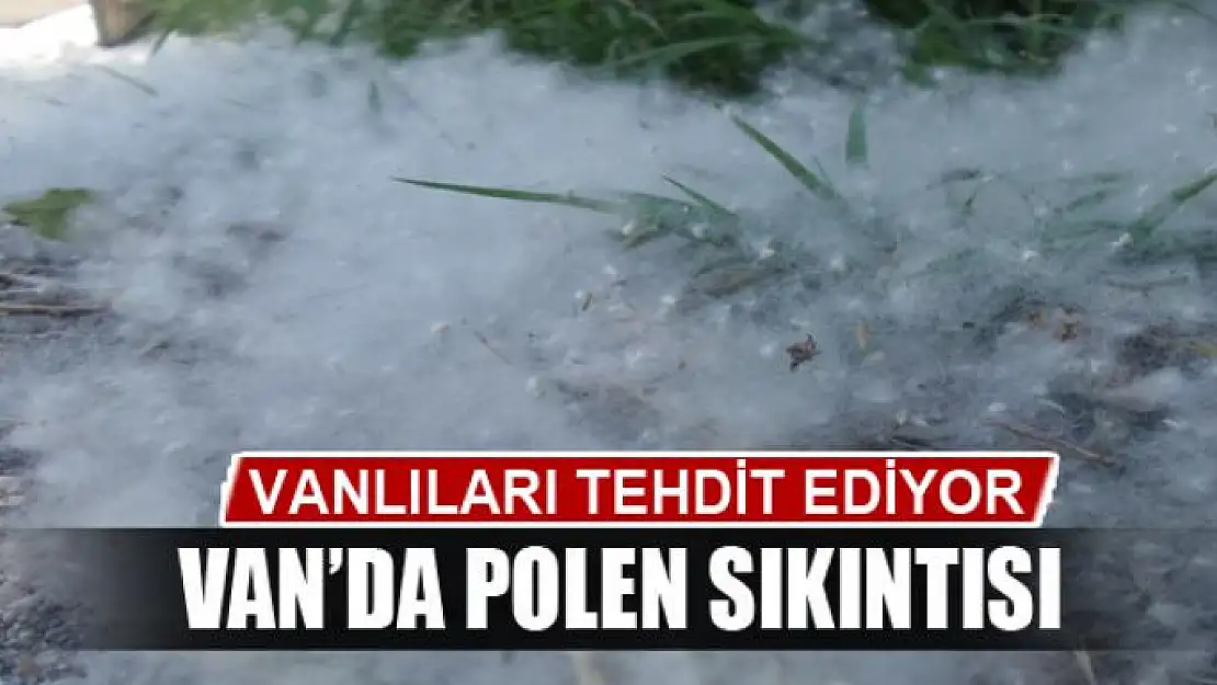  Van'da polen sıkıntısı 