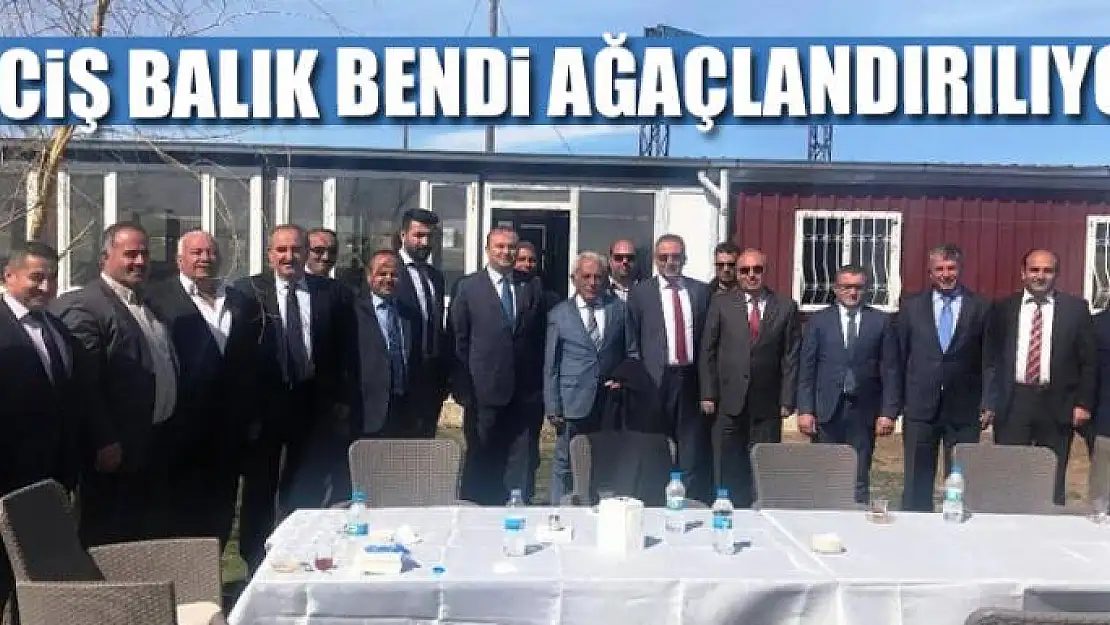 Erciş Balık Bendi ağaçlandırılıyor