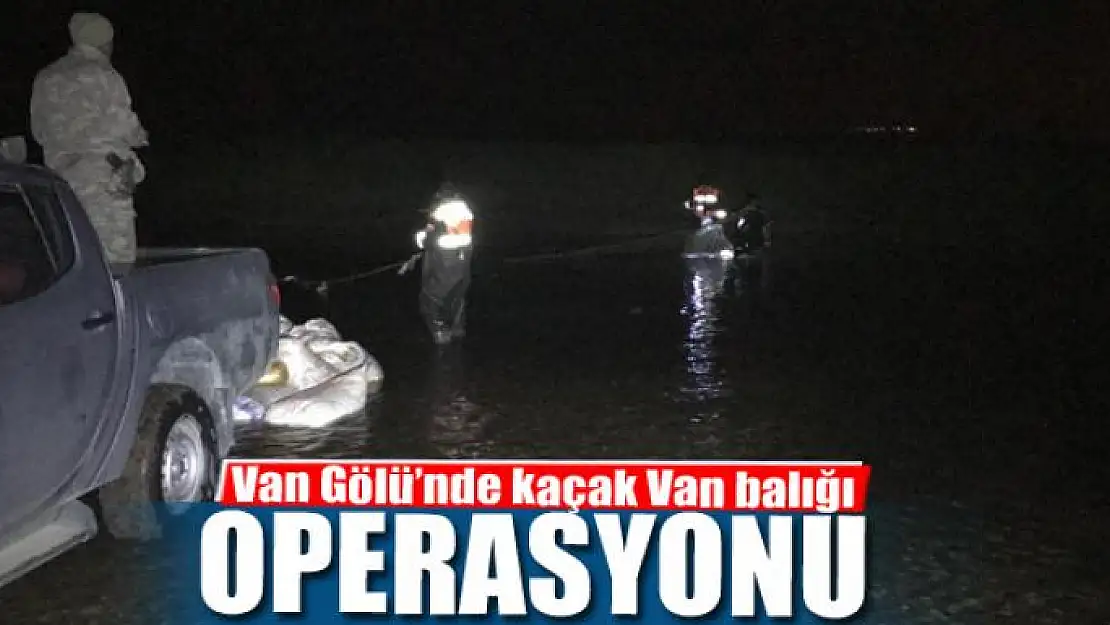 Van Gölü'nde kaçak Van balığı operasyonu 