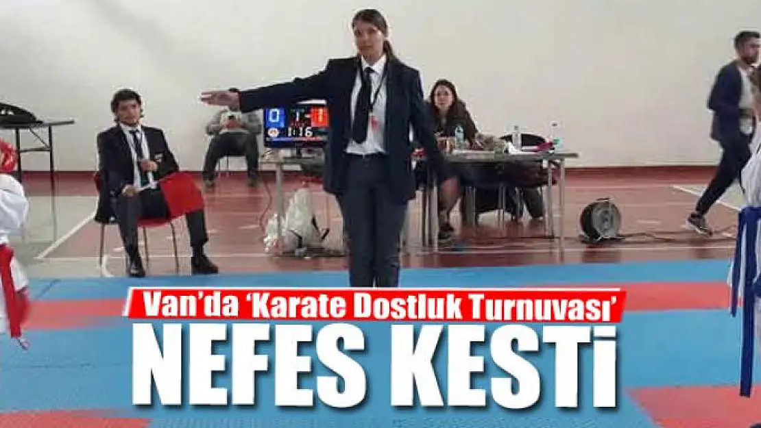 Van'da 'Karate Dostluk Turnuvası' nefes kesti 