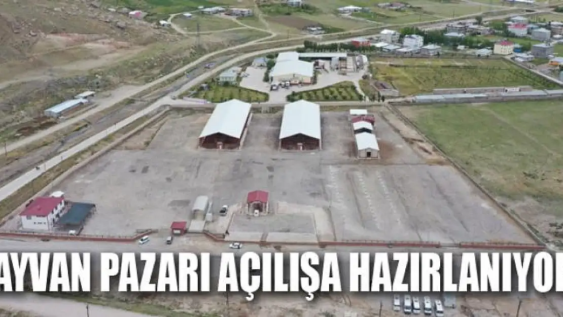 HAYVAN PAZARI AÇILIŞA HAZIRLANIYOR