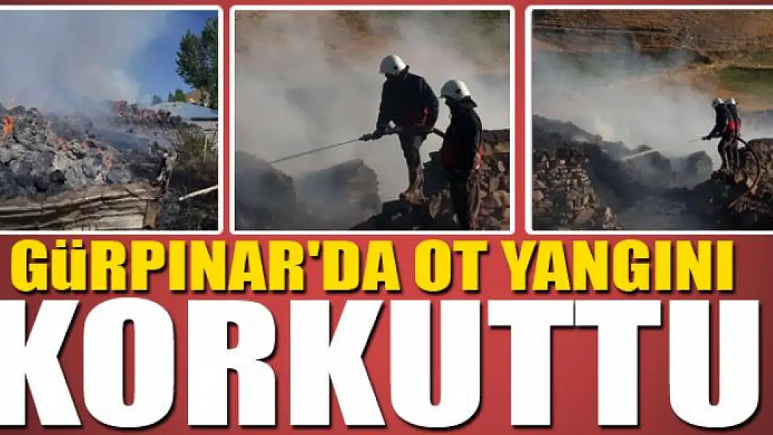 Gürpınar'da ot yangını korkuttu