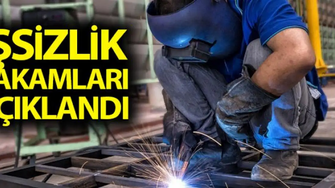 İşsizlik rakamları açıklandı