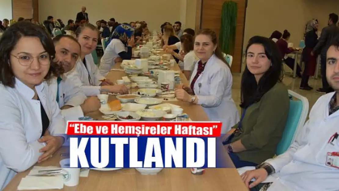 Van'da 'Ebe ve Hemşireler Haftası' kutlandı