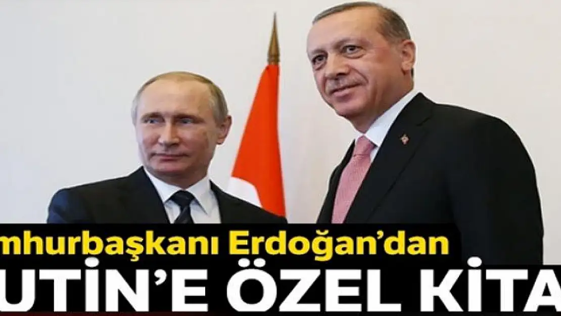 Cumhurbaşkanı Erdoğan'dan Putin'e özel kitap