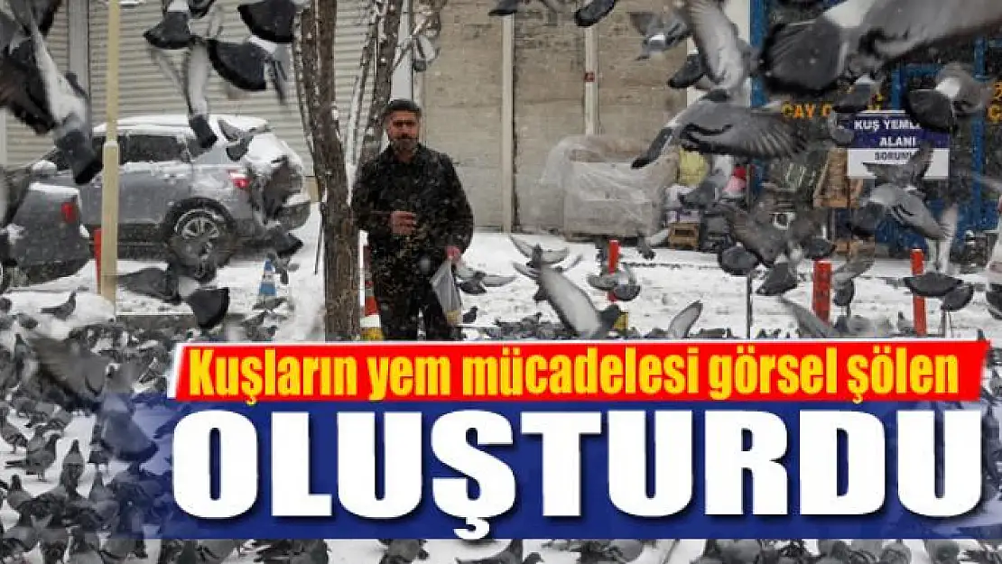 Kuşların yem mücadelesi görsel şölen oluşturdu