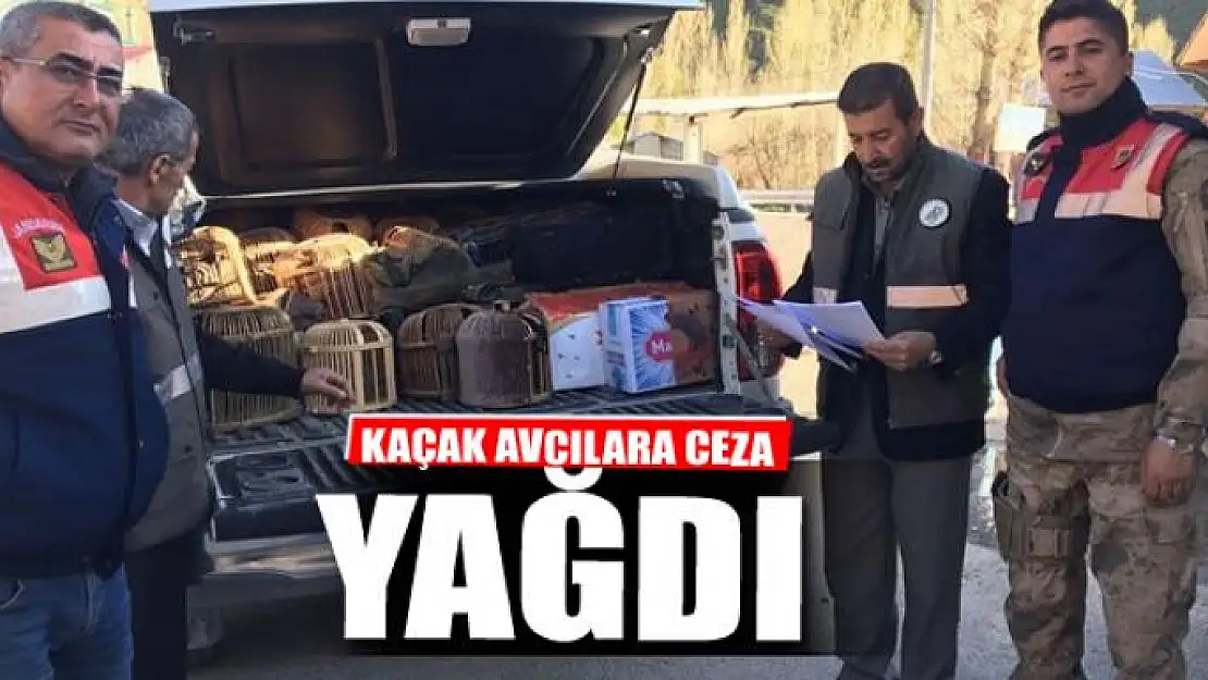 Kaçak avcılara ceza yağdı